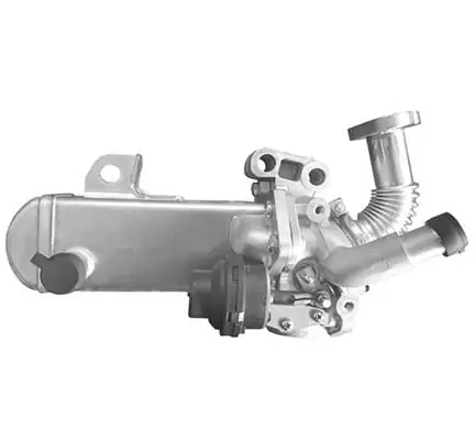 EGR Module