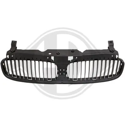 Radiator Grille