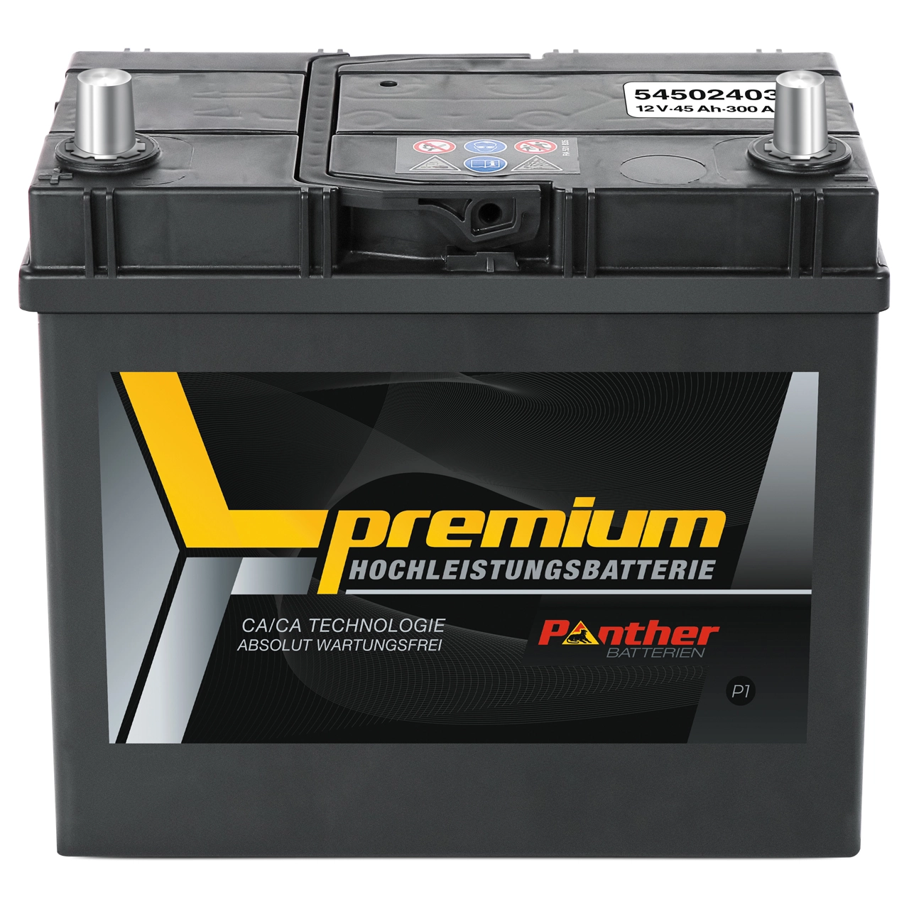 Starter Battery