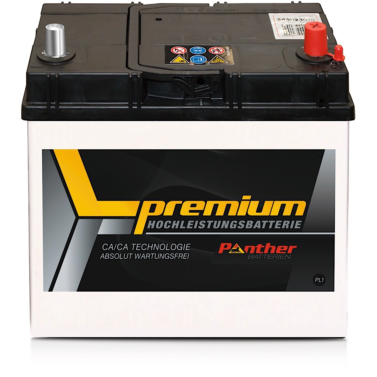 Starter Battery