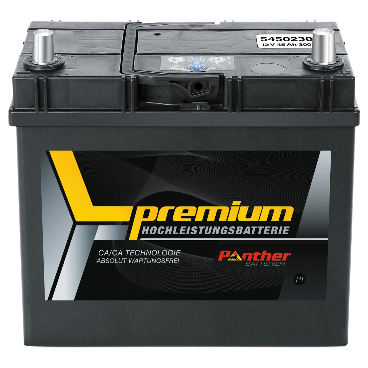 Starter Battery