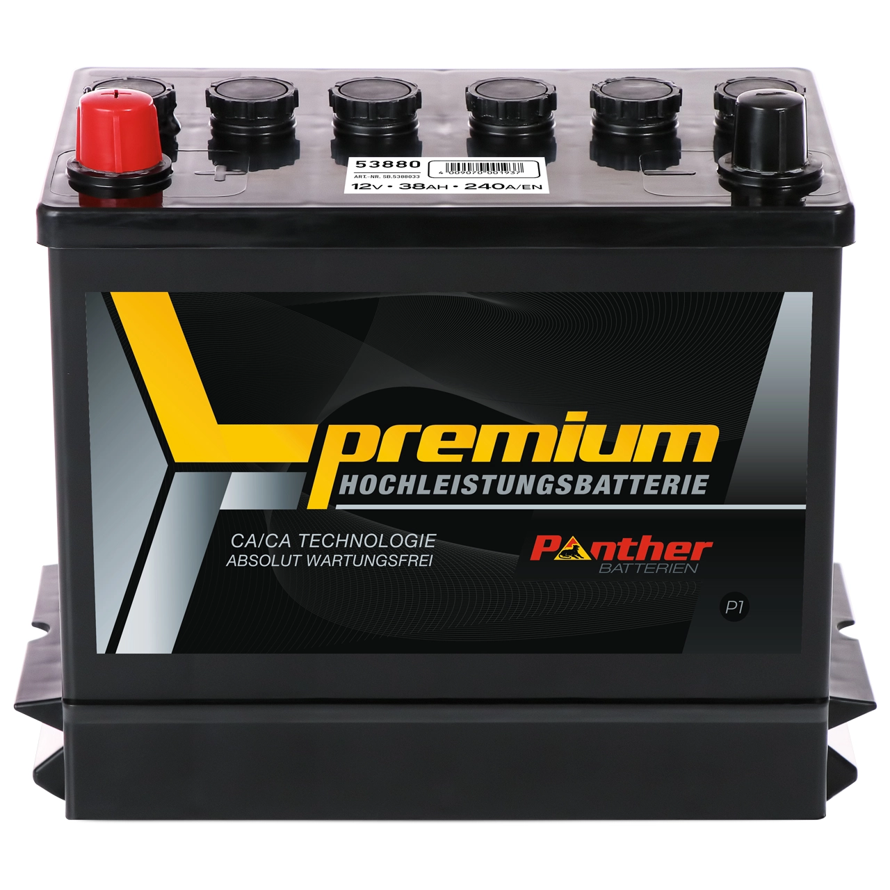 Starter Battery