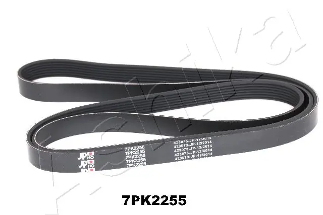 ASHIKA 112-7PK2255
