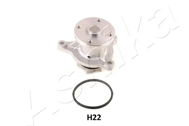 POMPE A EAU  RIO 3-4-I20-GR.I10 1.2 G4