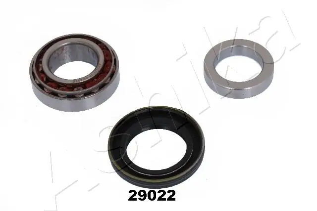 ASHIKA 44-29022