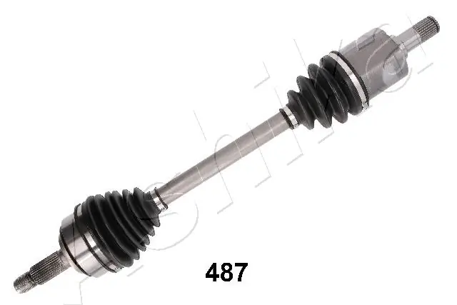 ASHIKA 62-04-487 — Піввісь