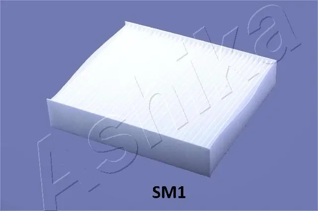 ASHIKA 21-SM-SM1 — Фільтр салону
