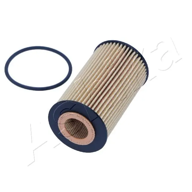 ASHIKA 10-ECO073 2