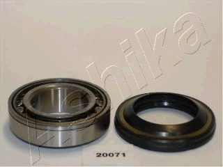 ASHIKA 44-20071