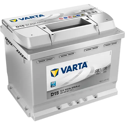 Starter Battery