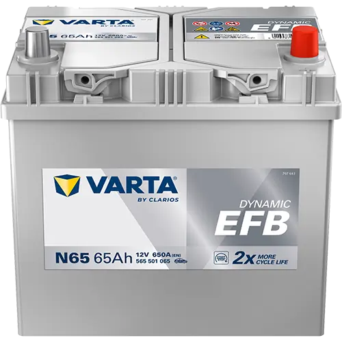 Starter Battery