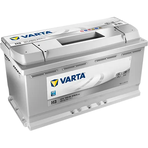 Starter Battery