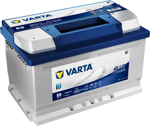 Starter Battery