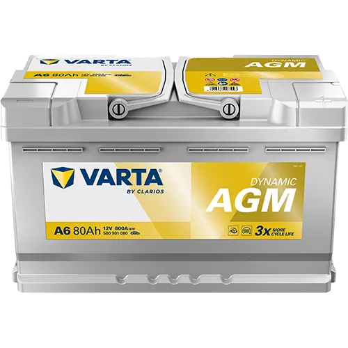 Starter Battery