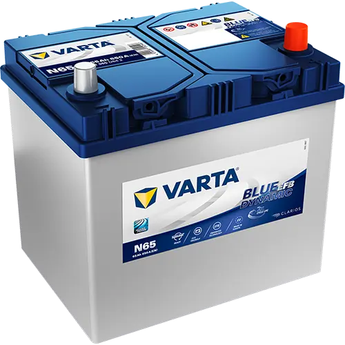 Starter Battery
