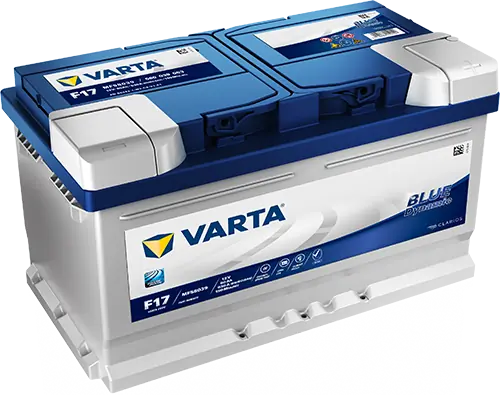 Starter Battery