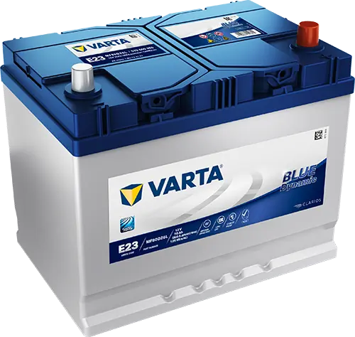 Starter Battery