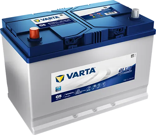 Starter Battery
