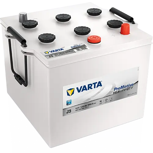 Starter Battery