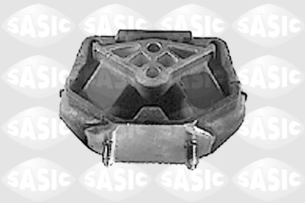 SASIC S.A. 9001335