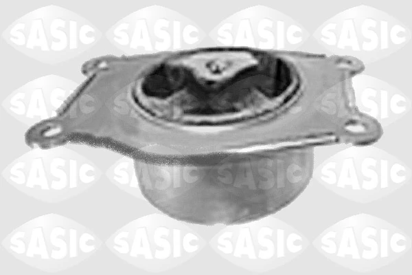 SASIC S.A. 9001666