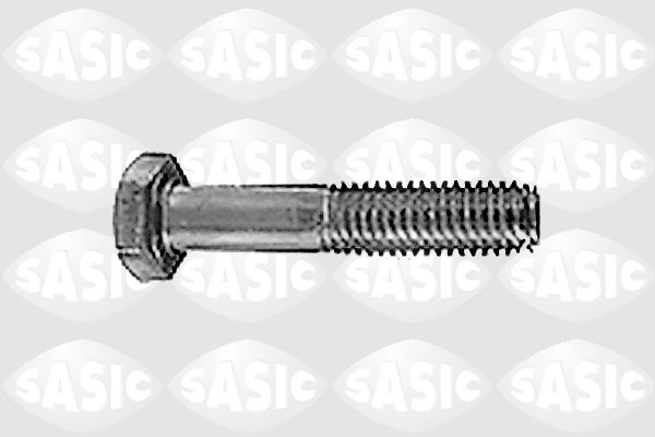 Vis, bout d'essieu SASIC 5223303