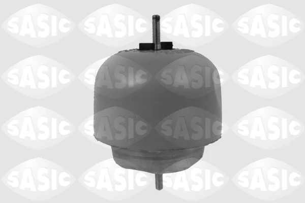 SASIC S.A. 9001953