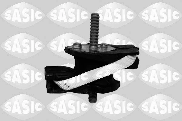 SASIC S.A. 2706381