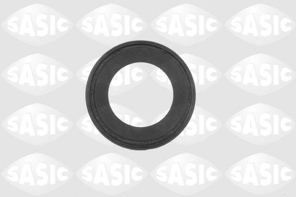 Bague d'étanchéité, différentiel Sasic