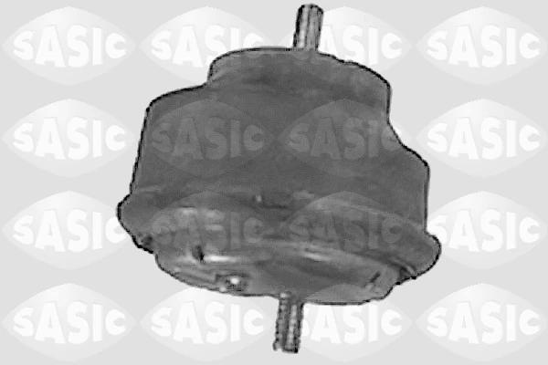 SASIC S.A. 9001407