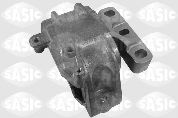 SASIC S.A. 9001936