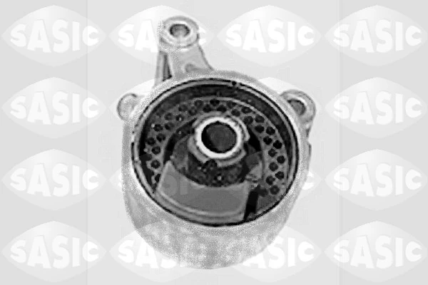 SASIC S.A. 9001674