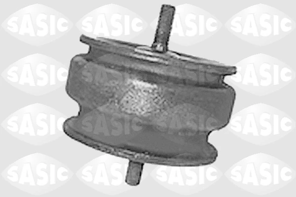 SASIC S.A. 9001453