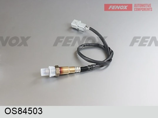 Oxygen Sensor