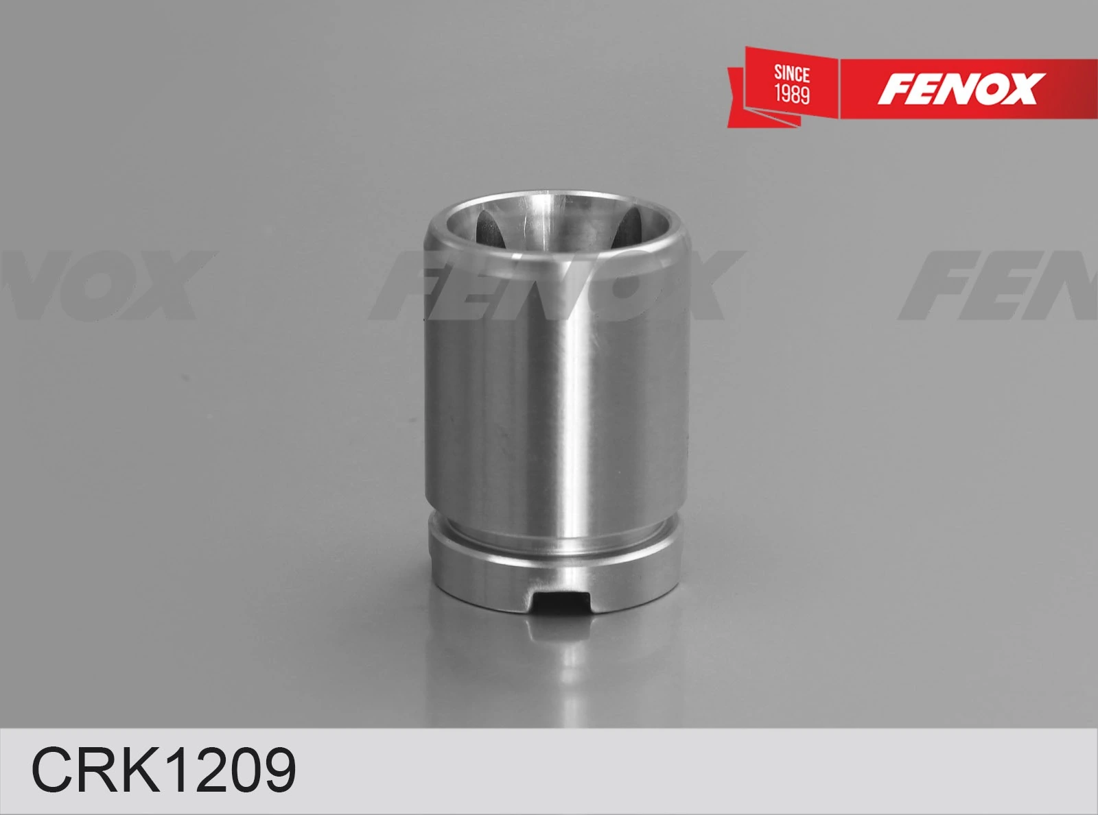 Repair Kit, brake caliper