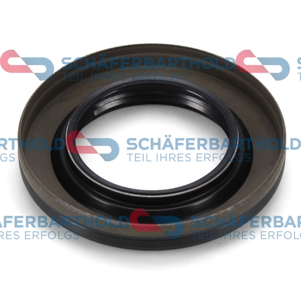 Shaft Seal, differential