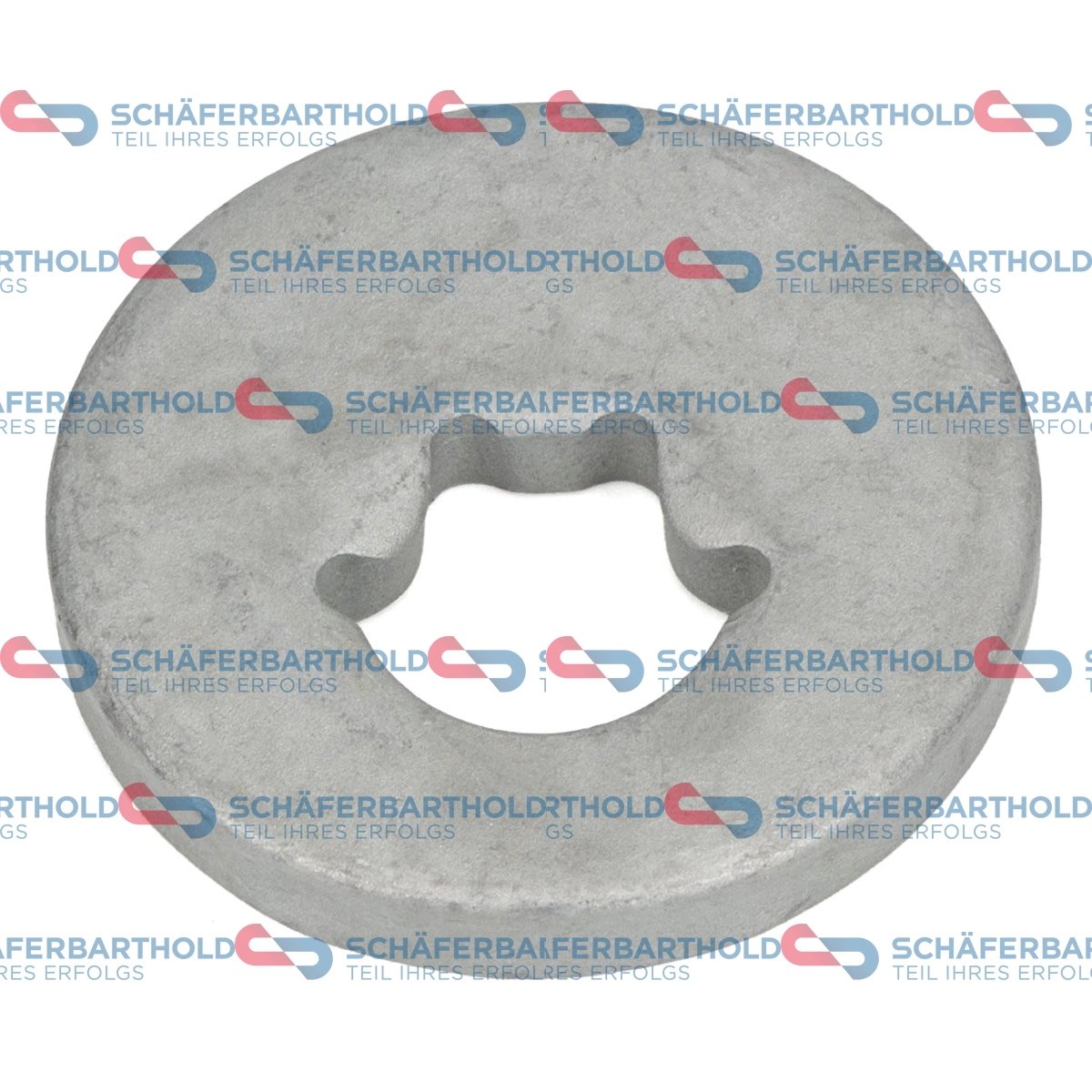 Camber Correction Screw