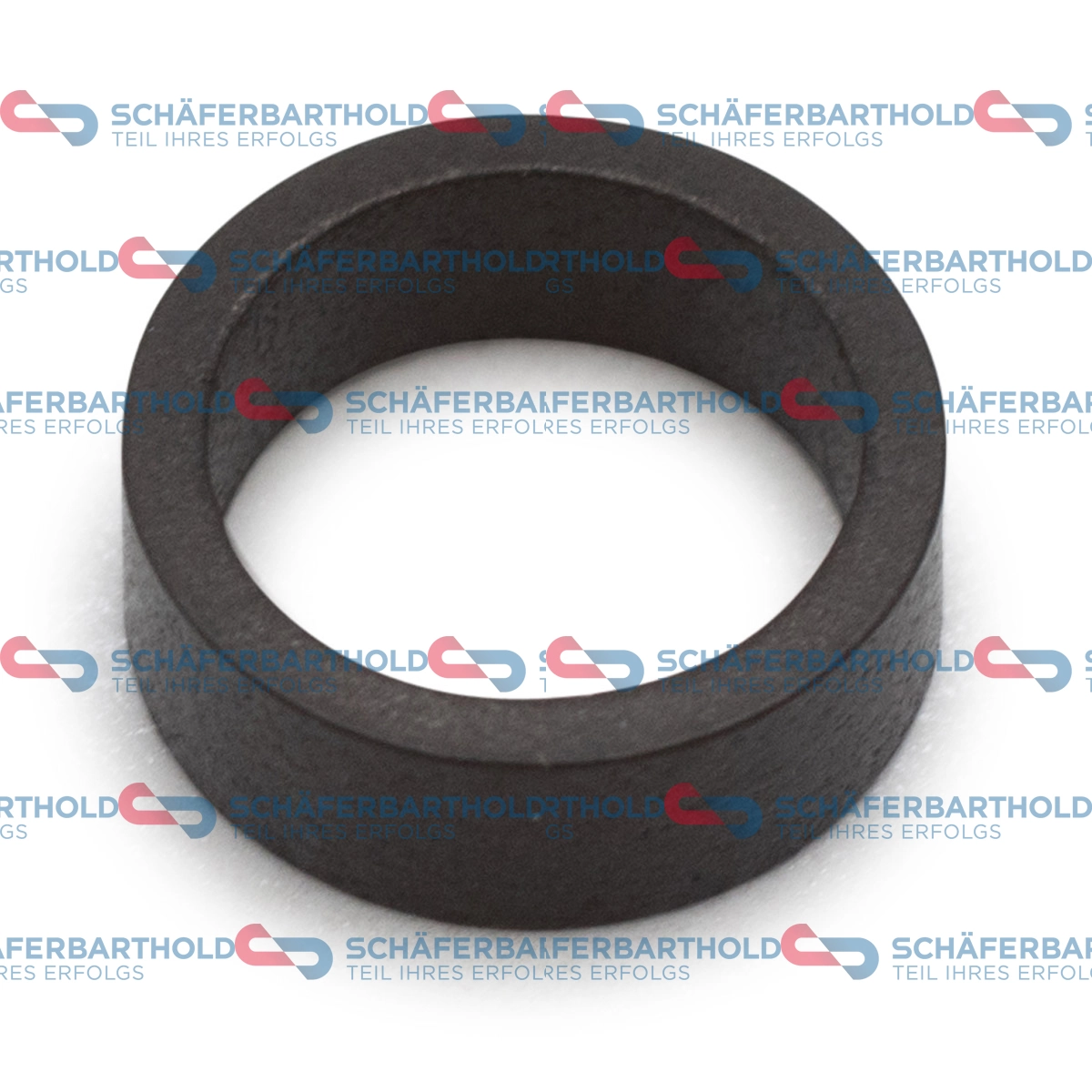 Seal Ring, injector