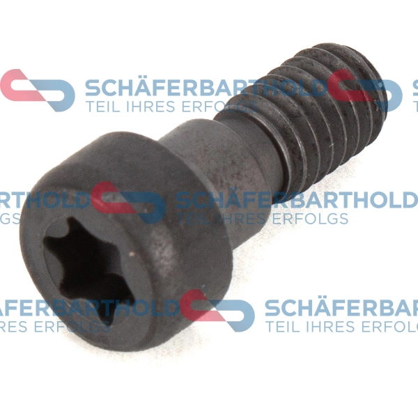 Bolt, camshaft gear