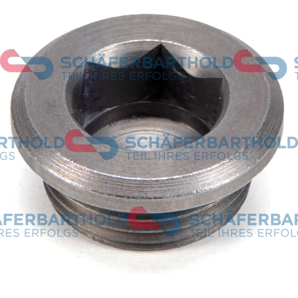 Screw Plug, axle drive