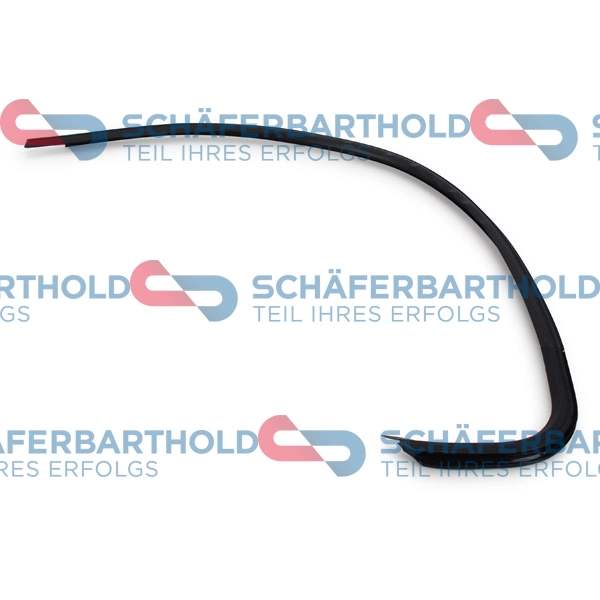 Trim/Protection Strip, side window