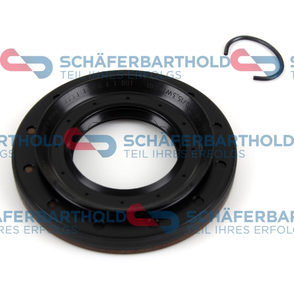 Shaft Seal, differential