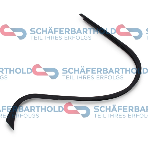 Trim/Protection Strip, side window