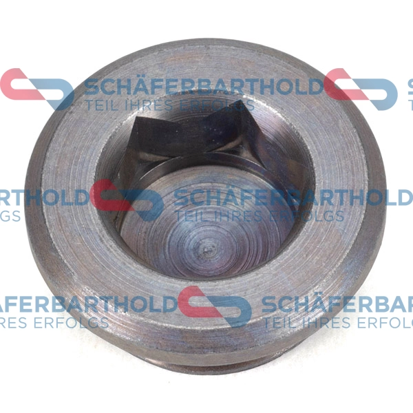 Screw Plug, axle drive