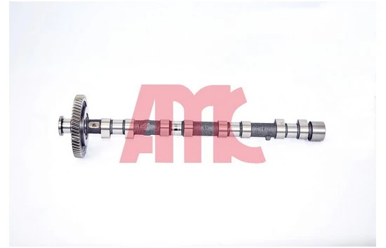 Arbre à came AMC 647268