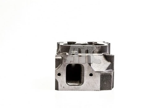 Culasse de cylindre AMC 909070