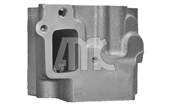 Culasse de cylindre AMC 939060