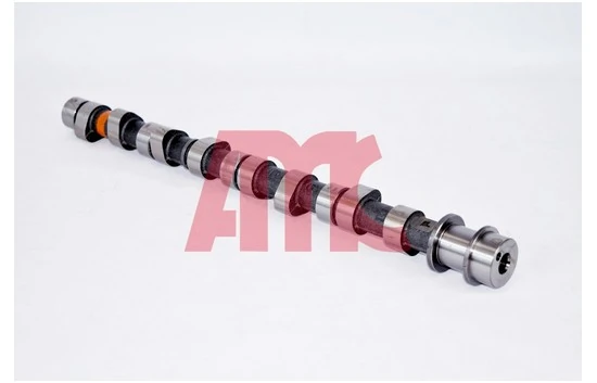 Arbre à came AMC 665842