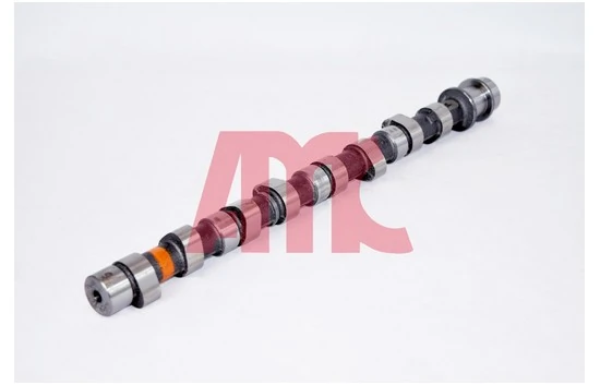 Arbre à came AMC 665842