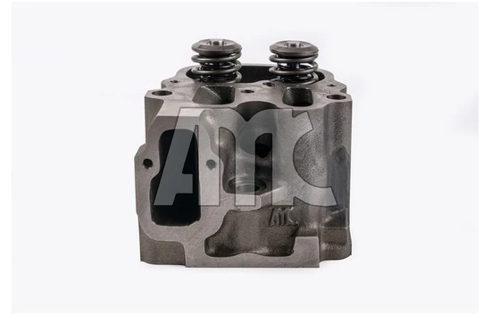 Culasse de cylindre AMC 909184